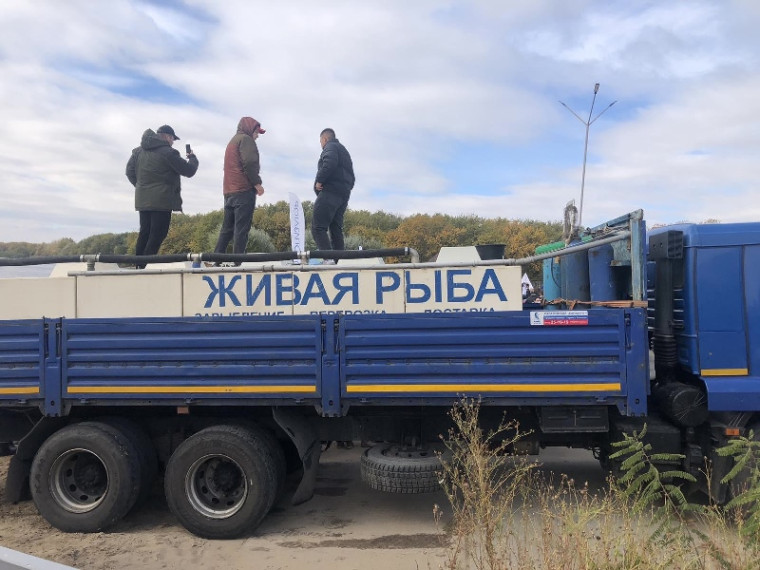 Водорослям - крышки!.